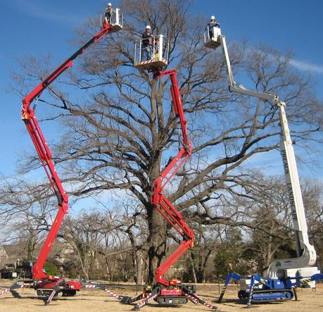 Preaus Landscape of Tulsa - Arborcultural Services